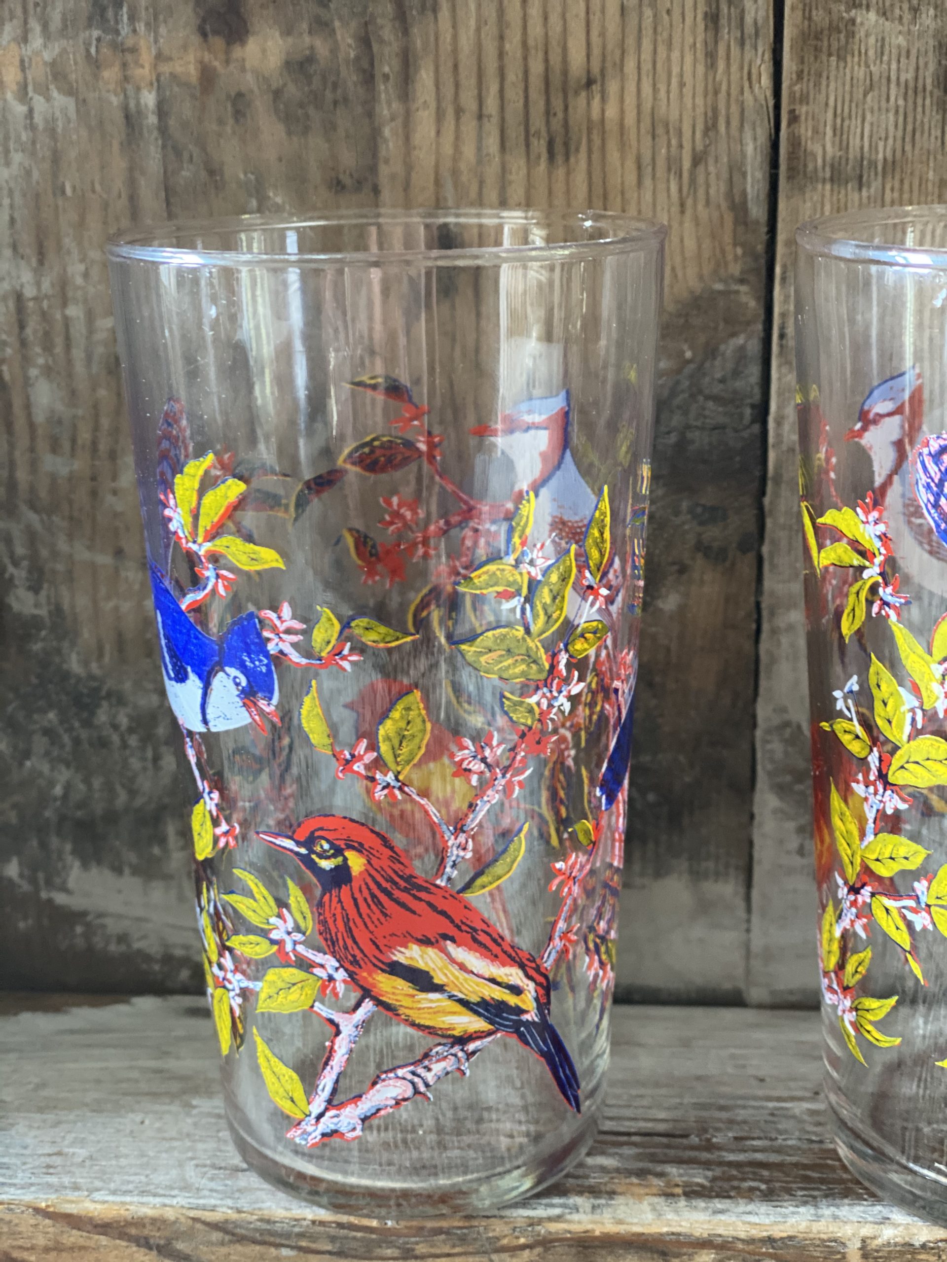 Vintage Retro Bird Design Drinking Glasses Grace Jenkins Home