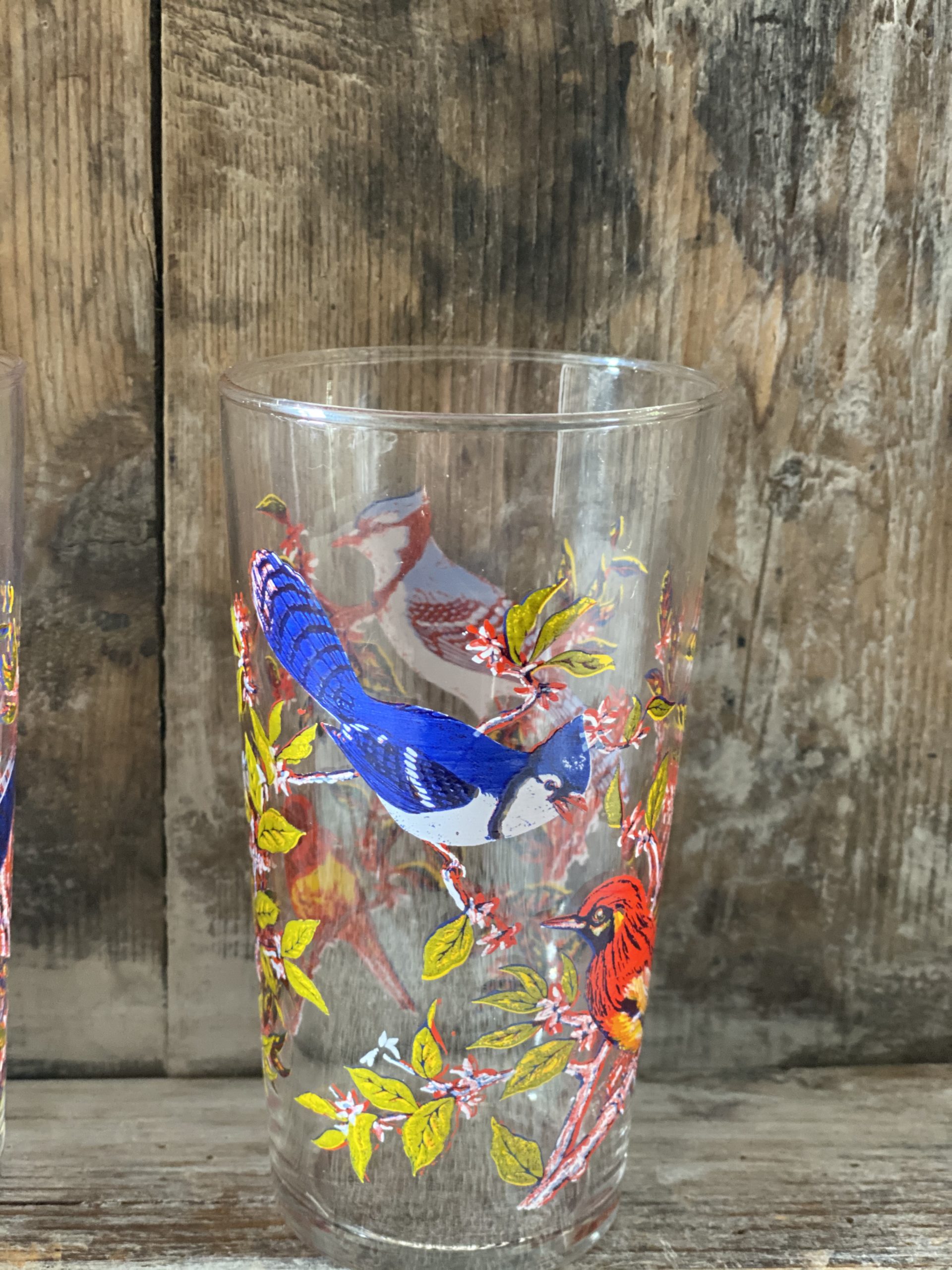 Vintage Retro Bird Design Drinking Glasses Grace Jenkins Home