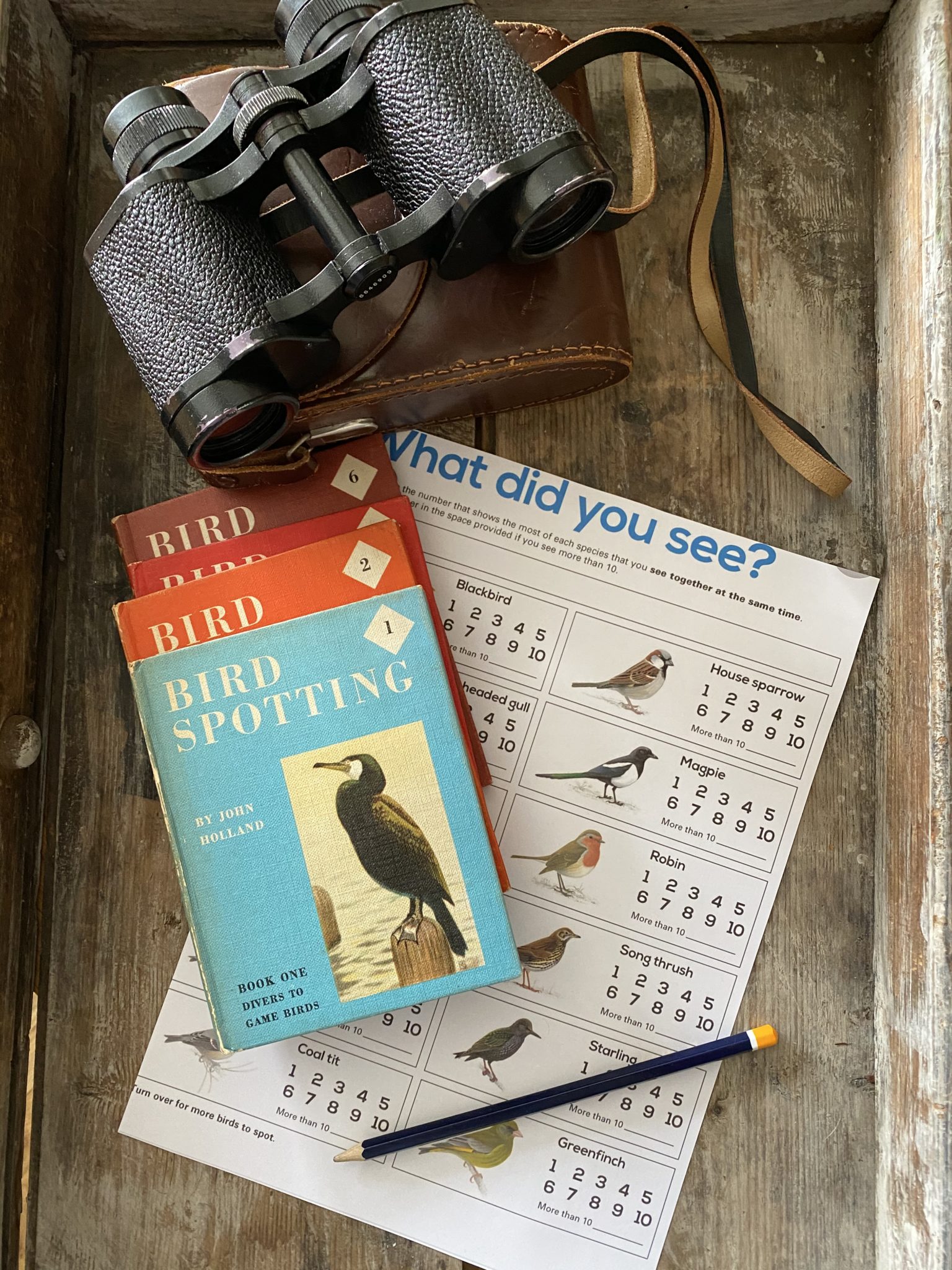 Vintage Bird Spotting Books Grace Jenkins Home Vintage Bird Spotting Books Grace Jenkins Home